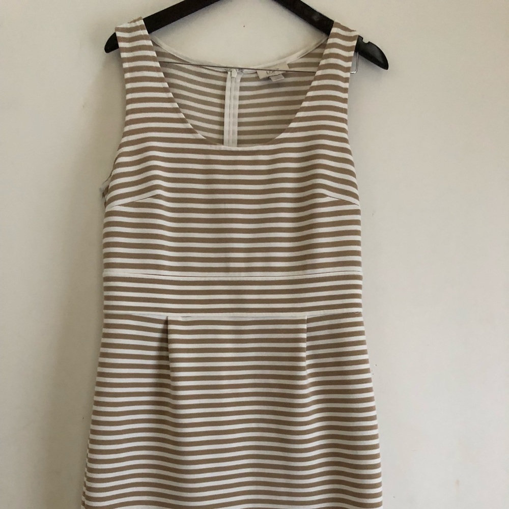 Ladies fashion Apparel